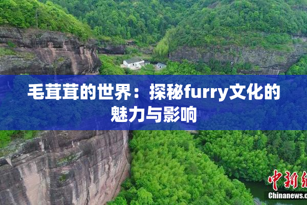 毛茸茸的世界：探秘furry文化的魅力与影响