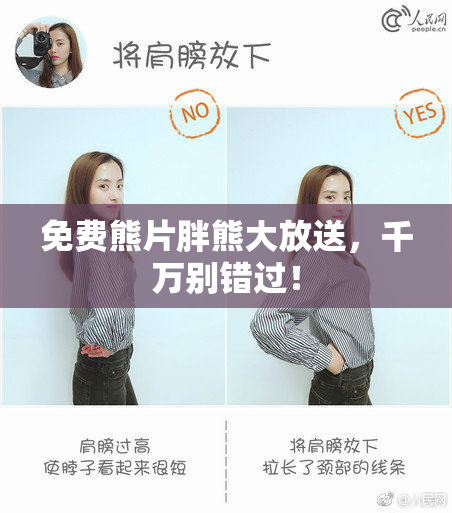 免费熊片胖熊大放送，千万别错过！