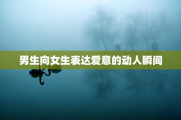 男生向女生表达爱意的动人瞬间
