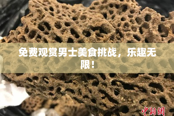 免费观赏男士美食挑战，乐趣无限！