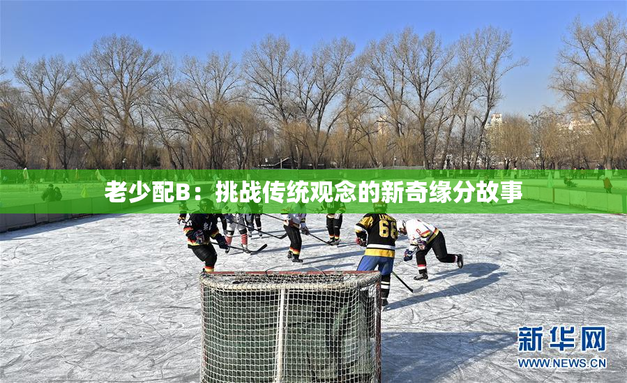 老少配B：挑战传统观念的新奇缘分故事