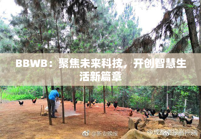 BBWB：聚焦未来科技，开创智慧生活新篇章