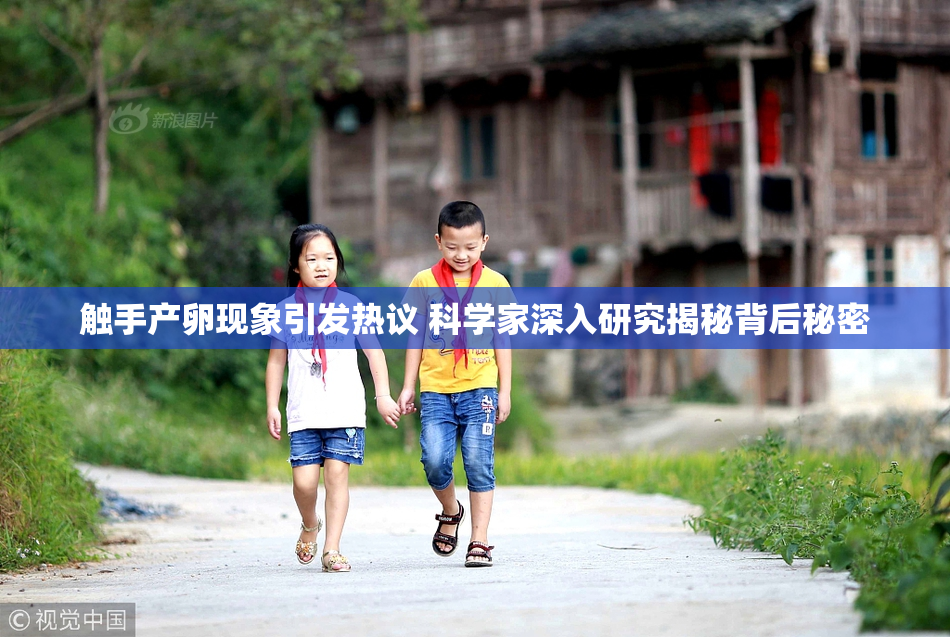 触手产卵现象引发热议 科学家深入研究揭秘背后秘密
