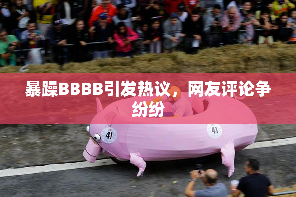 暴躁BBBB引发热议，网友评论争纷纷