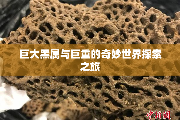 巨大黑属与巨重的奇妙世界探索之旅