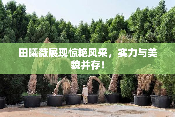 田曦薇展现惊艳风采，实力与美貌并存！