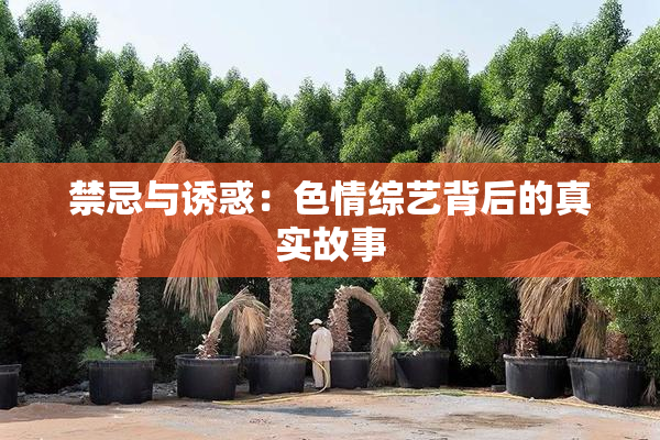 禁忌与诱惑：色情综艺背后的真实故事