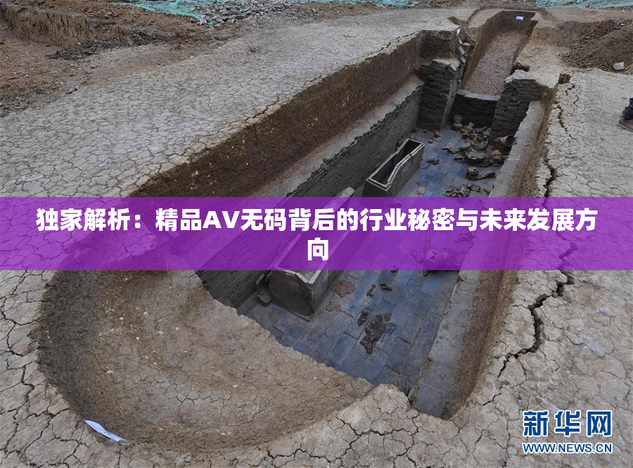 独家解析：精品AV无码背后的行业秘密与未来发展方向