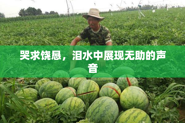 哭求饶恳，泪水中展现无助的声音