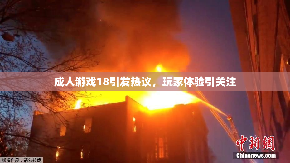 成人游戏18引发热议，玩家体验引关注