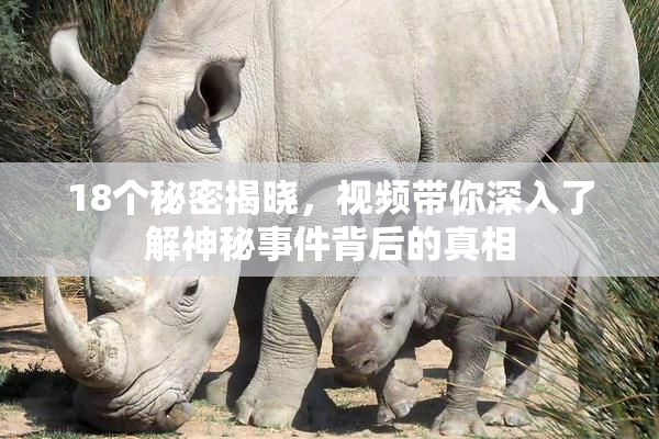 18个秘密揭晓，视频带你深入了解神秘事件背后的真相