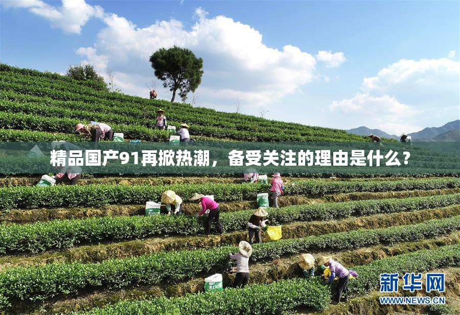 精品国产91再掀热潮，备受关注的理由是什么？