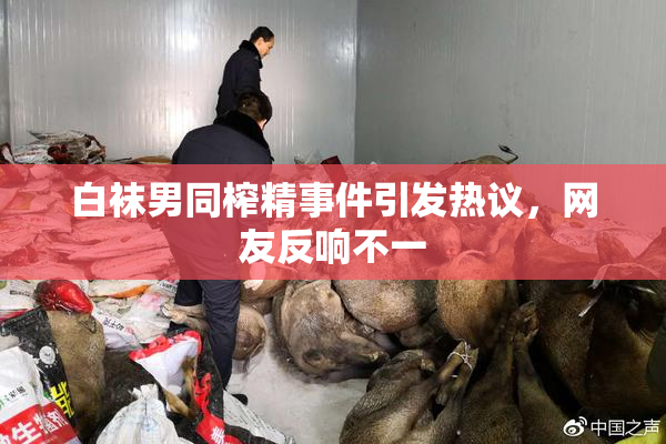 白袜男同榨精事件引发热议，网友反响不一