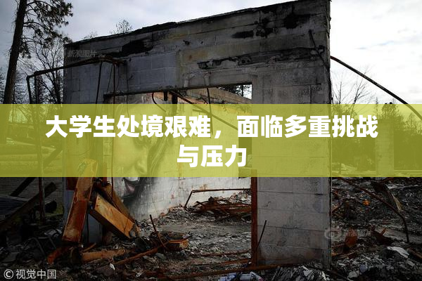 大学生处境艰难，面临多重挑战与压力