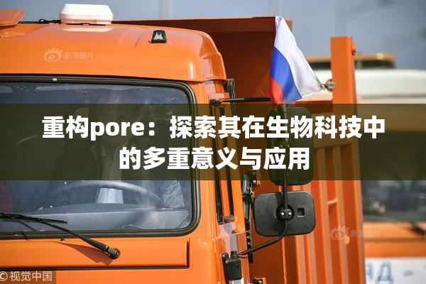 重构pore：探索其在生物科技中的多重意义与应用