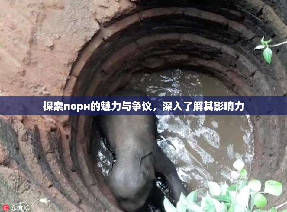 探索порн的魅力与争议，深入了解其影响力