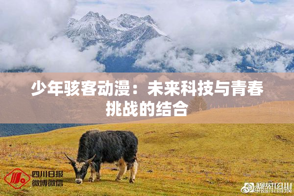 少年骇客动漫：未来科技与青春挑战的结合