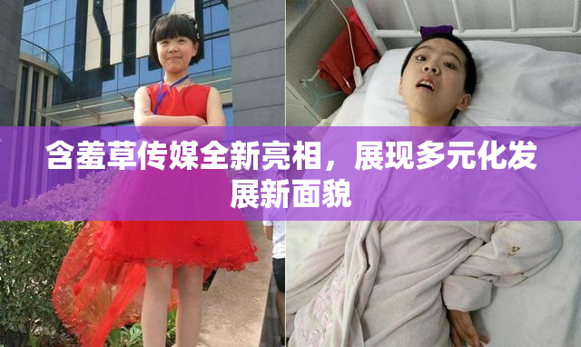 含羞草传媒全新亮相，展现多元化发展新面貌