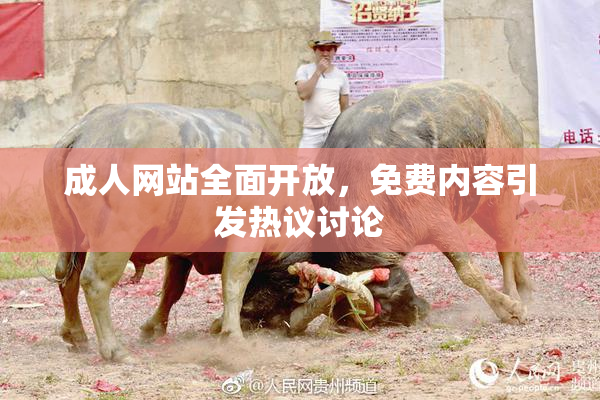 成人网站全面开放，免费内容引发热议讨论