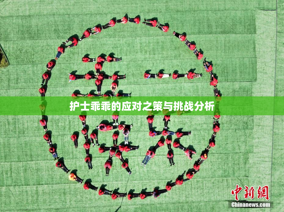 护士乖乖的应对之策与挑战分析