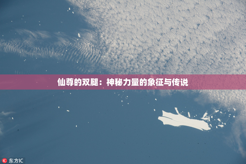仙尊的双腿：神秘力量的象征与传说