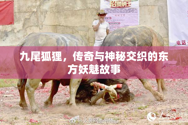 九尾狐狸，传奇与神秘交织的东方妖魅故事