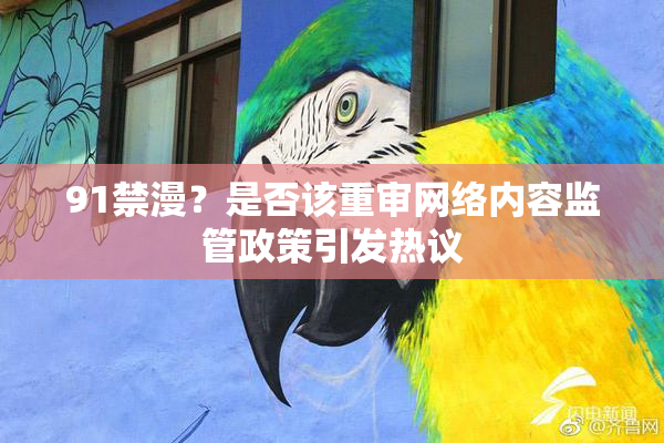 91禁漫？是否该重审网络内容监管政策引发热议