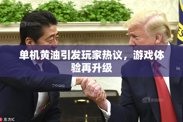 单机黄油引发玩家热议，游戏体验再升级