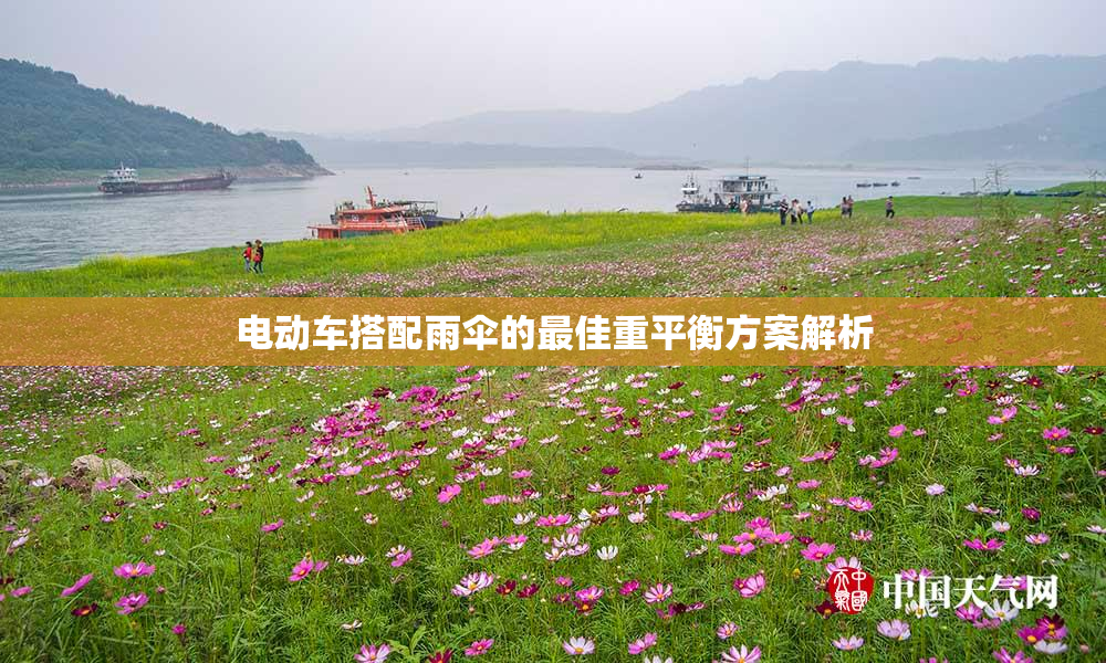 电动车搭配雨伞的最佳重平衡方案解析