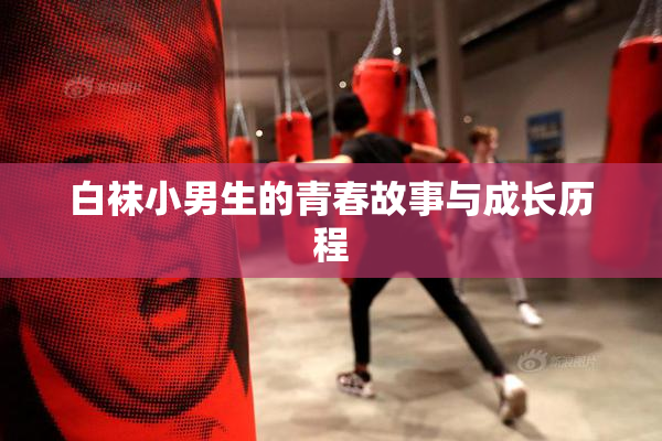 白袜小男生的青春故事与成长历程