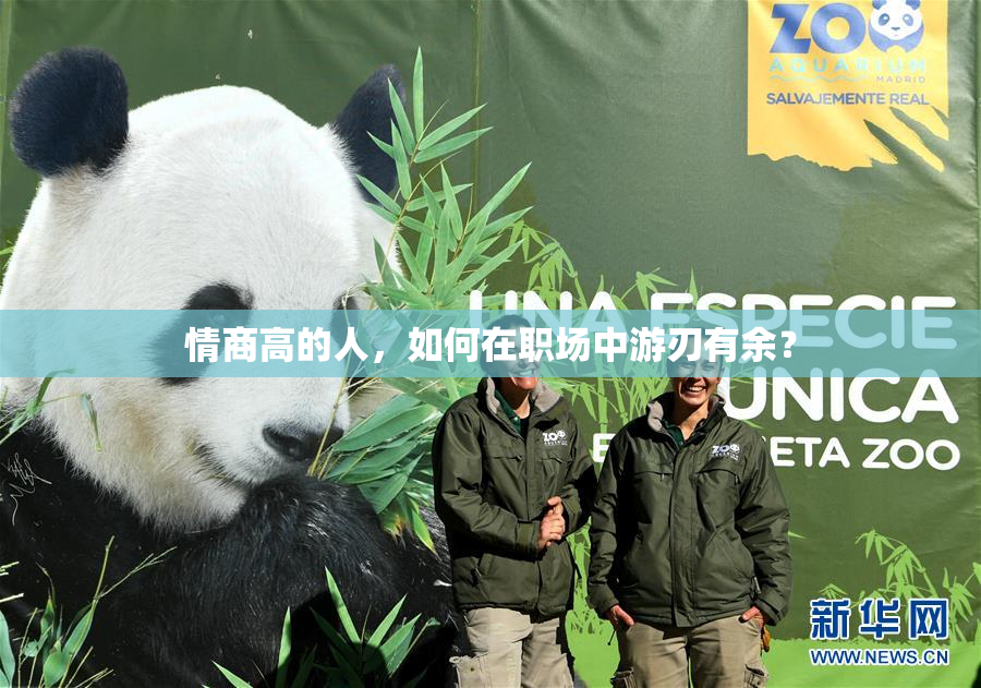 情商高的人，如何在职场中游刃有余？