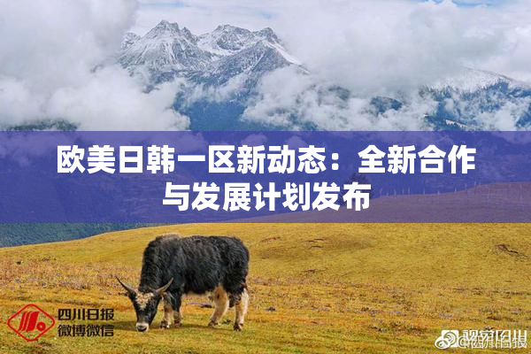 欧美日韩一区新动态：全新合作与发展计划发布