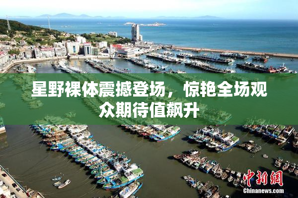 星野裸体震撼登场，惊艳全场观众期待值飙升