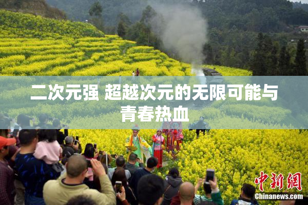 二次元强 超越次元的无限可能与青春热血