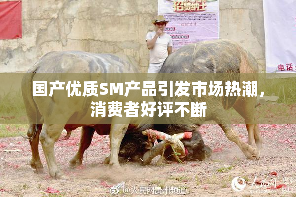国产优质SM产品引发市场热潮，消费者好评不断