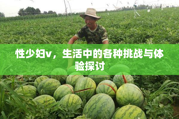 性少妇v，生活中的各种挑战与体验探讨