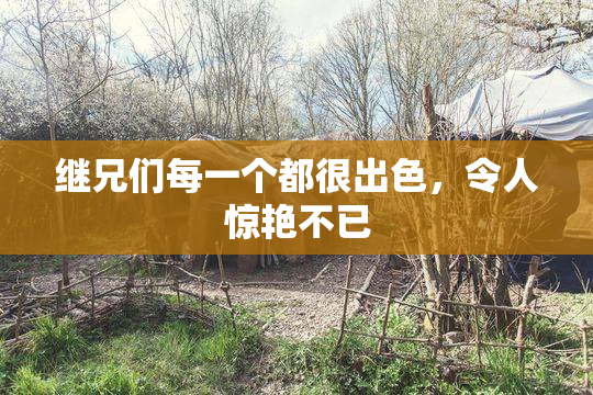 继兄们每一个都很出色，令人惊艳不已