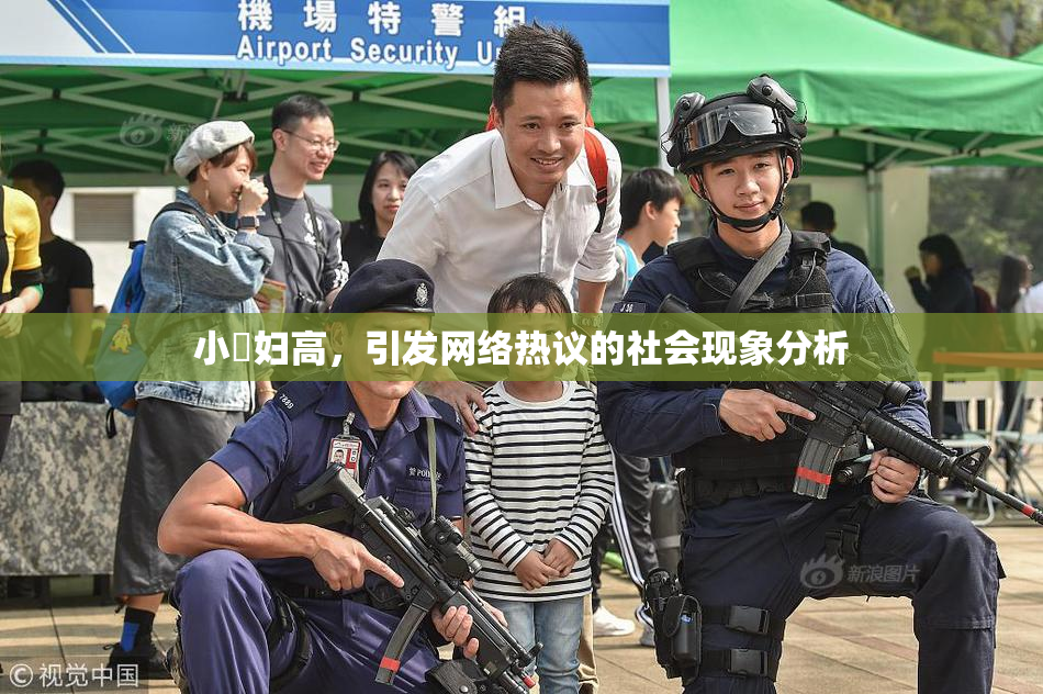 小婬妇高，引发网络热议的社会现象分析