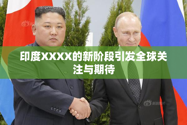 印度XXXX的新阶段引发全球关注与期待
