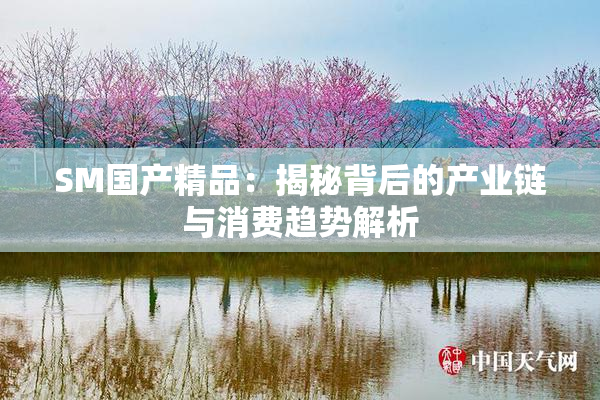 SM国产精品：揭秘背后的产业链与消费趋势解析