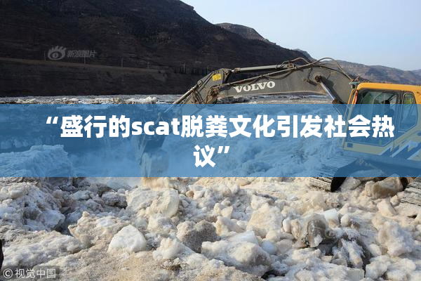 “盛行的scat脱粪文化引发社会热议”