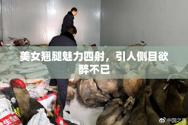美女翘腿魅力四射，引人侧目欲醉不已
