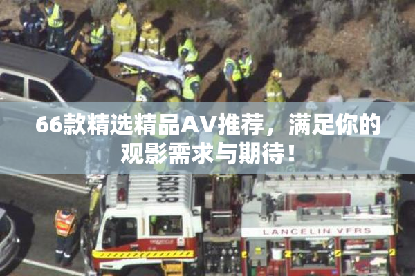 66款精选精品AV推荐，满足你的观影需求与期待！