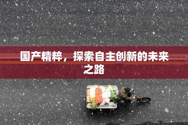 国产精粹，探索自主创新的未来之路