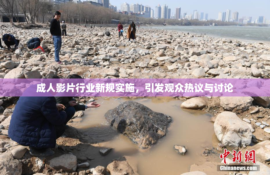 成人影片行业新规实施，引发观众热议与讨论