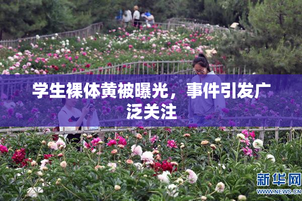 学生裸体黄被曝光，事件引发广泛关注
