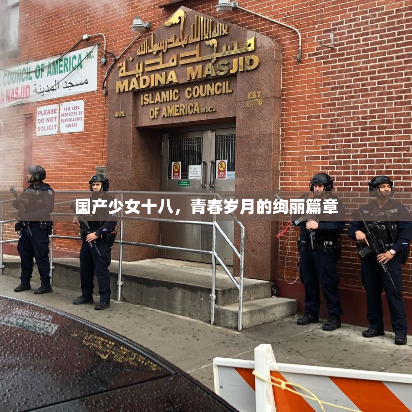 国产少女十八，青春岁月的绚丽篇章