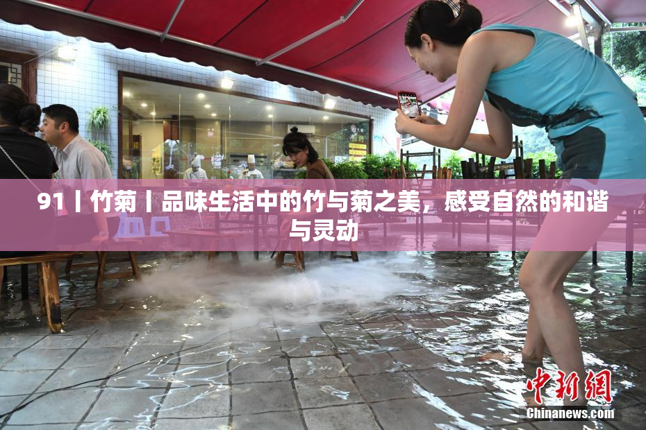 91丨竹菊丨品味生活中的竹与菊之美，感受自然的和谐与灵动