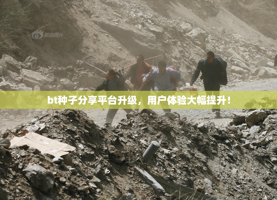 bt种子分享平台升级，用户体验大幅提升！