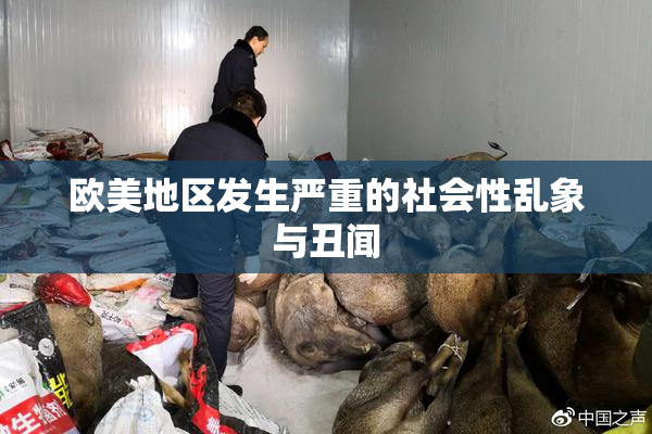 欧美地区发生严重的社会性乱象与丑闻